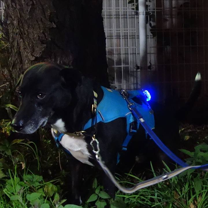 5fbf66fb c6c3 4329 afaa c261f0478f3e 1700141217531