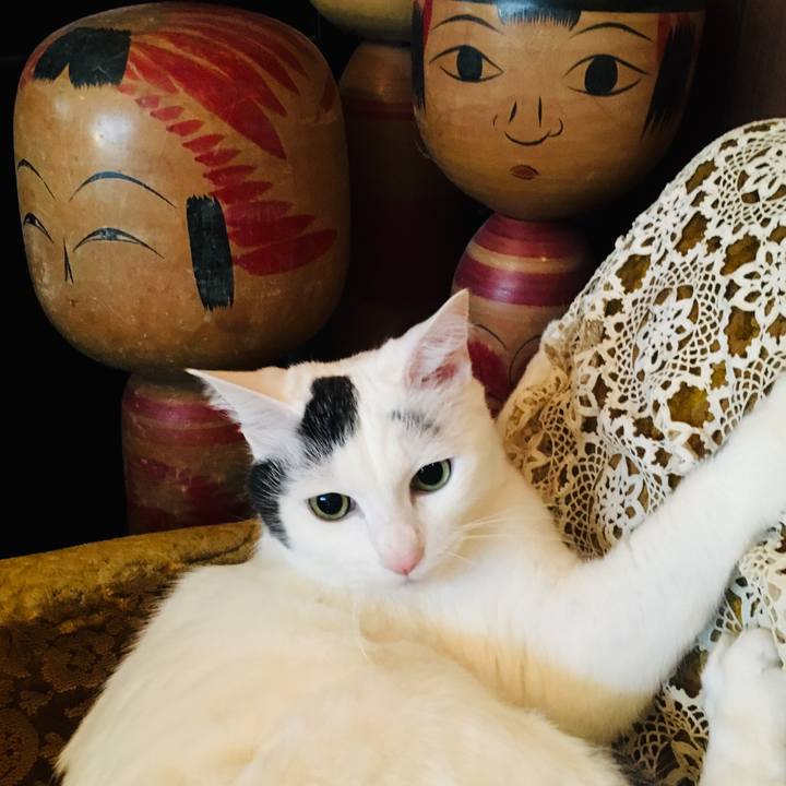 5fbf8620 4be5 4736 9acd f8ff79f9f5de 1556660815447