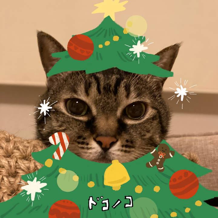 5fbf9044 cb44 4112 b75c 69ba438ab9cd 1763283272600