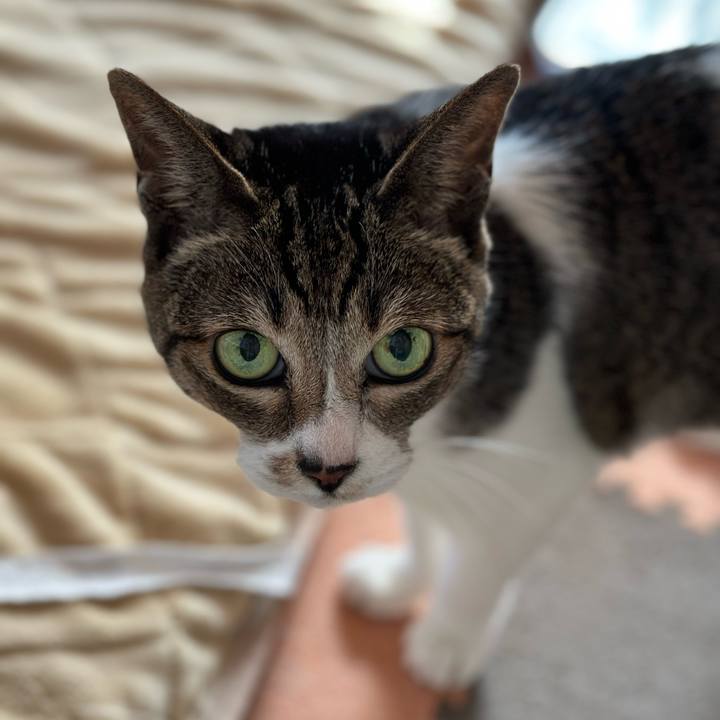 5fbf987c 4574 4273 92bd bd4db7a9f1e1 1667355268549