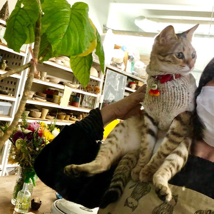 5fbfb949 d867 445e b834 84aa4d99f498 1583644191217