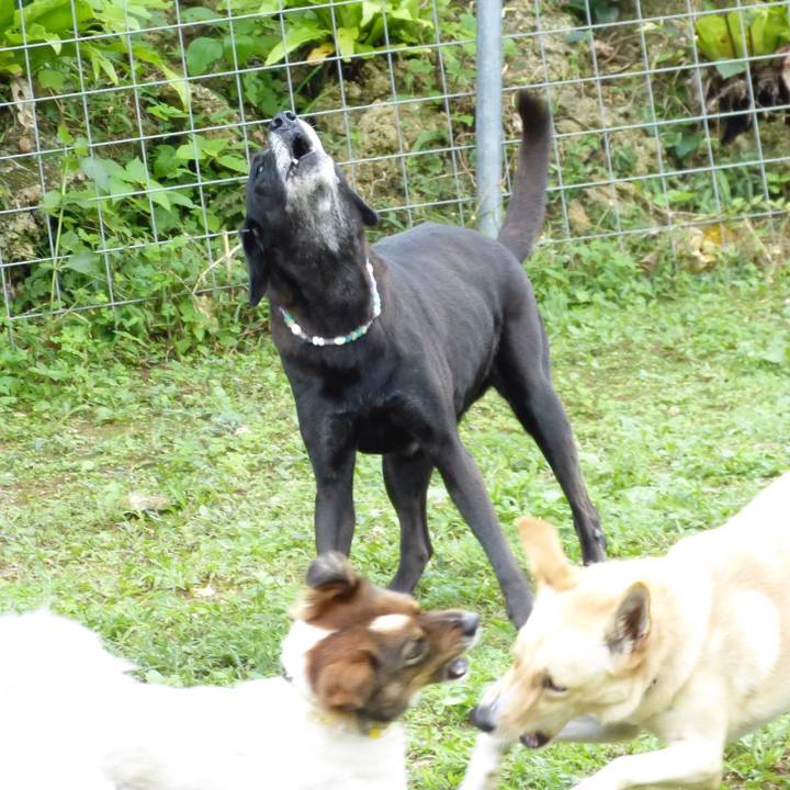 5fbfd569 d387 4c39 a0c9 f0368a0ccf54 1536919667804