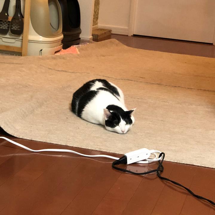 5fbfdd39 c50e 4e4f b9d3 3252f6d4c2fa 1517322456991