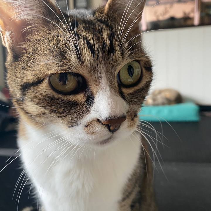 5fbffd31 dbf3 42bc a52c f362149fb03d 1587355436958