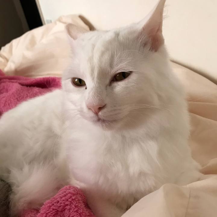 5fc059b1 6e65 4b36 ab0b 76c1f7da79bf 1518313774460