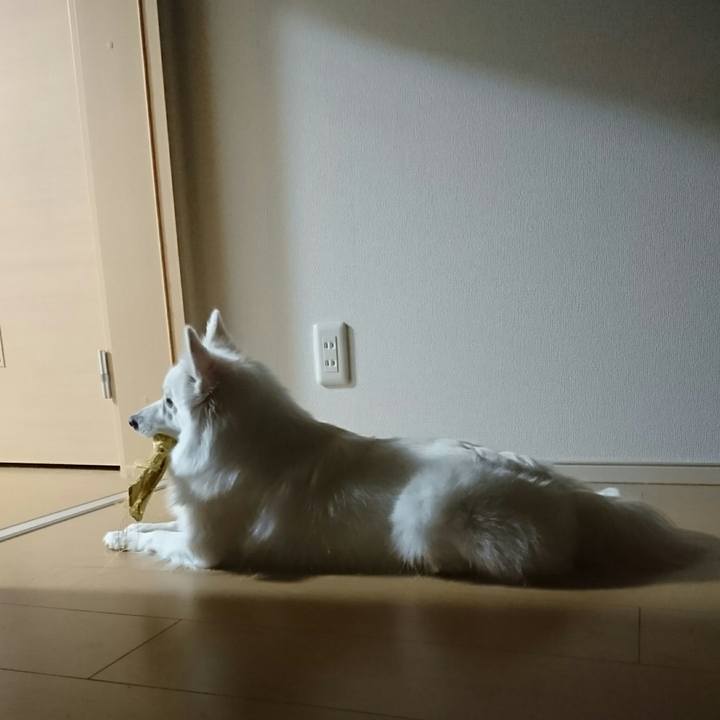 5fc06c70 6331 42b3 a0f3 89e6fefcdccf 1513003788253