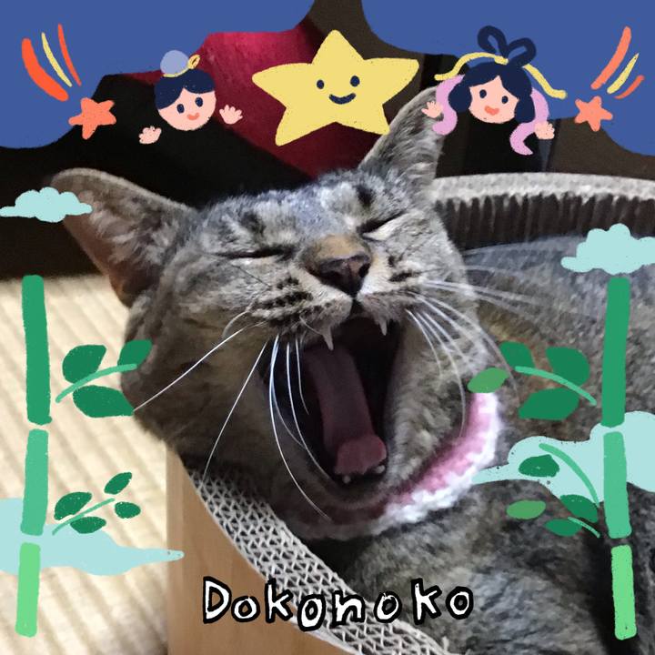 5fc092bc 0690 4479 bf56 1c4bb522c371 1721038788672