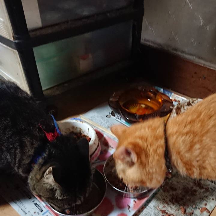 5fc0a5a2 a313 4760 991b cc828faa2072 1660515021336