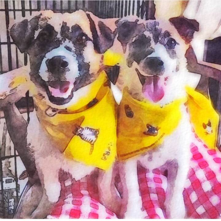 5fc0aa0f 1f00 4cc3 b822 3ce154b6f7b8 1527233423892