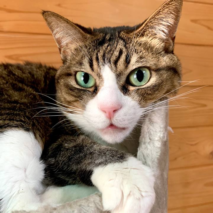 5fc0b775 2ab6 4487 890f 3df881d90104 1580533200447