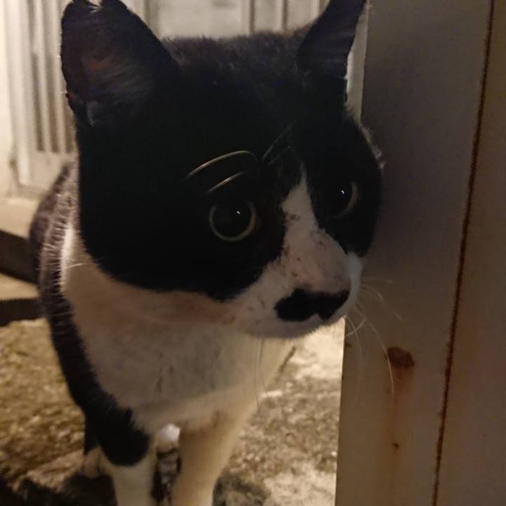 5fc0c100 cad4 414d a6aa fe8bede8f022 1553521500462