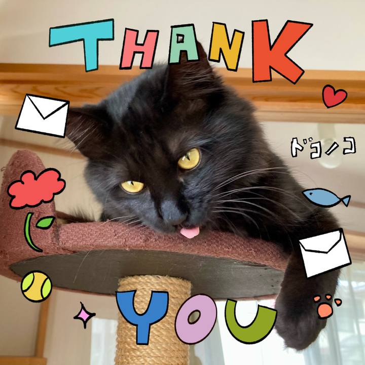 5fc0cd2d 156c 4746 b8ff ca27e56df4e3 1715320542747