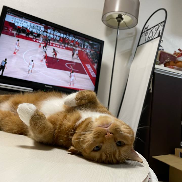 5fc11e16 00df 47cd 94ff 00b861aafd91 1628250326833