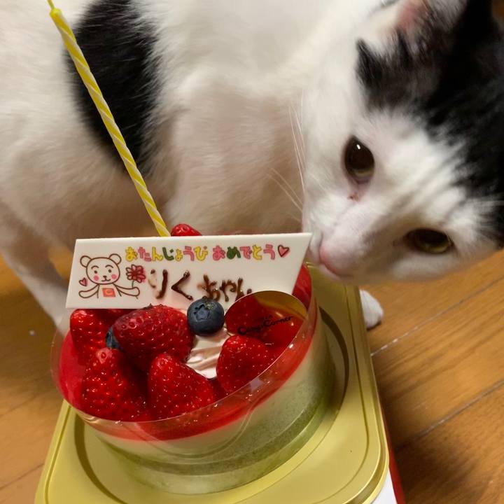 5fc13033 4d5a 4007 a646 42bd70f168bc 1553175278810