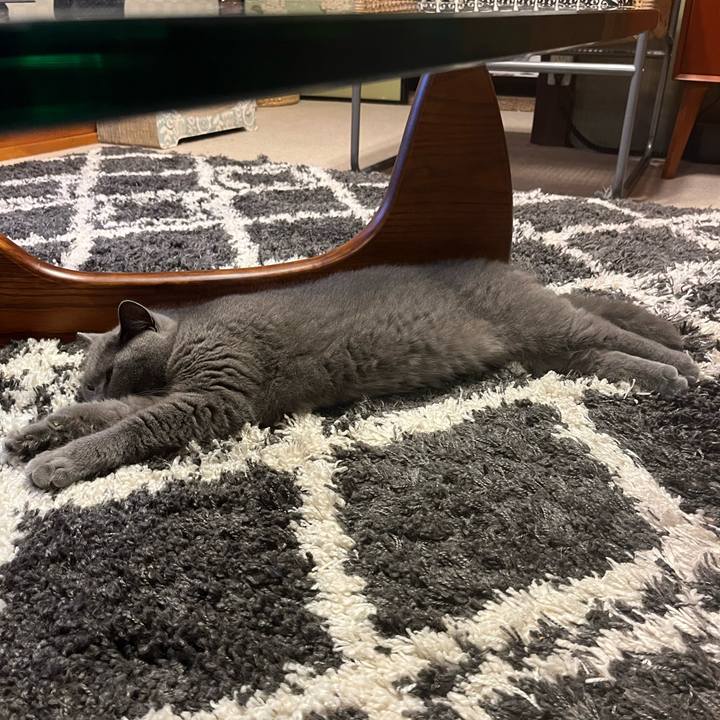 5fc15881 9f67 488b b592 d744c81ee43d 1635076292824