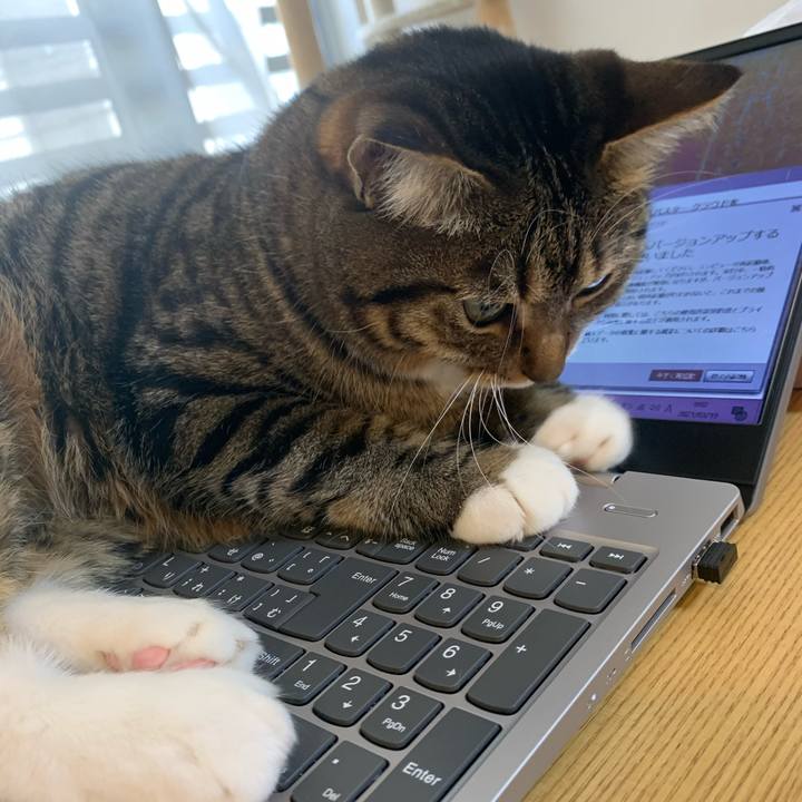 5fc17bb0 384f 40b6 96a3 69771ab9f528 1616293989976