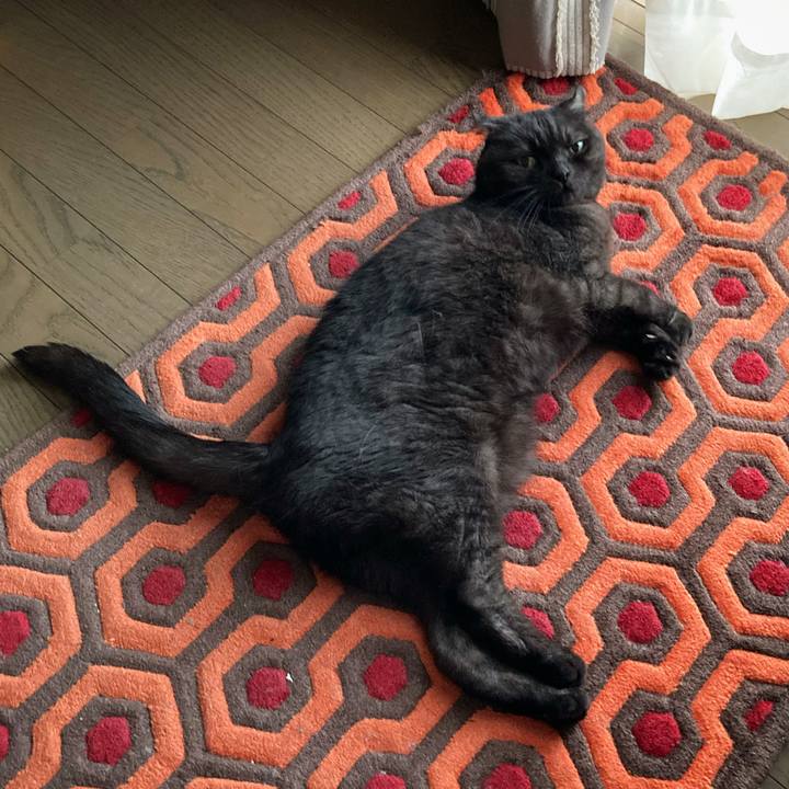 5fc17fac 28ee 4424 89cd 944f0dbcfbe1 1593046081068