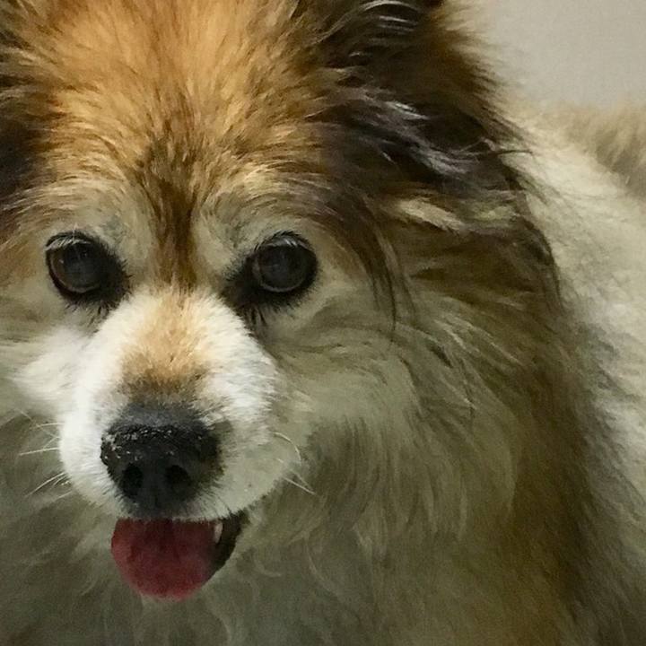 5fc18bcd 0760 41f5 8936 6659cfc6d418 1606098353203