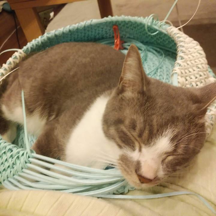 5fc19830 cb13 419a b794 1f4b8e54ae06 1620917296661