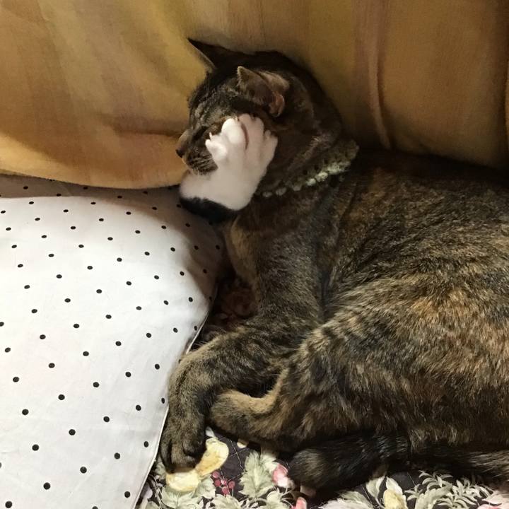 5fc1acdc 7b8b 4c8f af3c 0a086108ec81 1640328720785