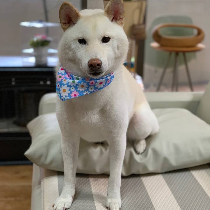 5fc1b001 5777 4edc 83e3 7e1be8ccc85f 1569212251255