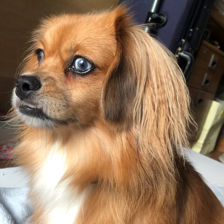 5fc1b736 4450 40d6 81b6 c166b508f1d6 1537140429247