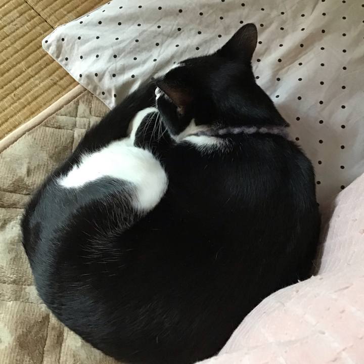 5fc1da18 9092 4d82 85e5 ec2b75adebcd 1642574400140