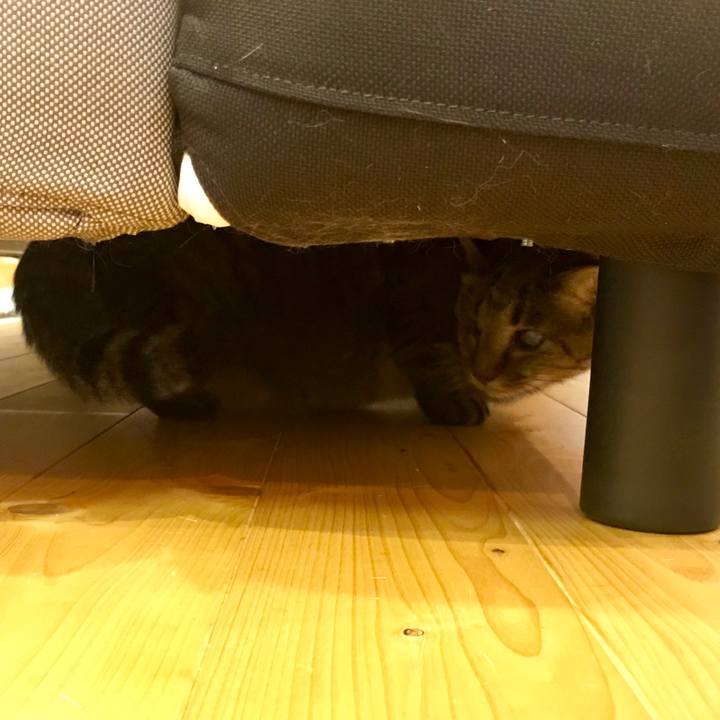 5fc1df24 496c 43da becd 6578b3dc97e1 1547002040612