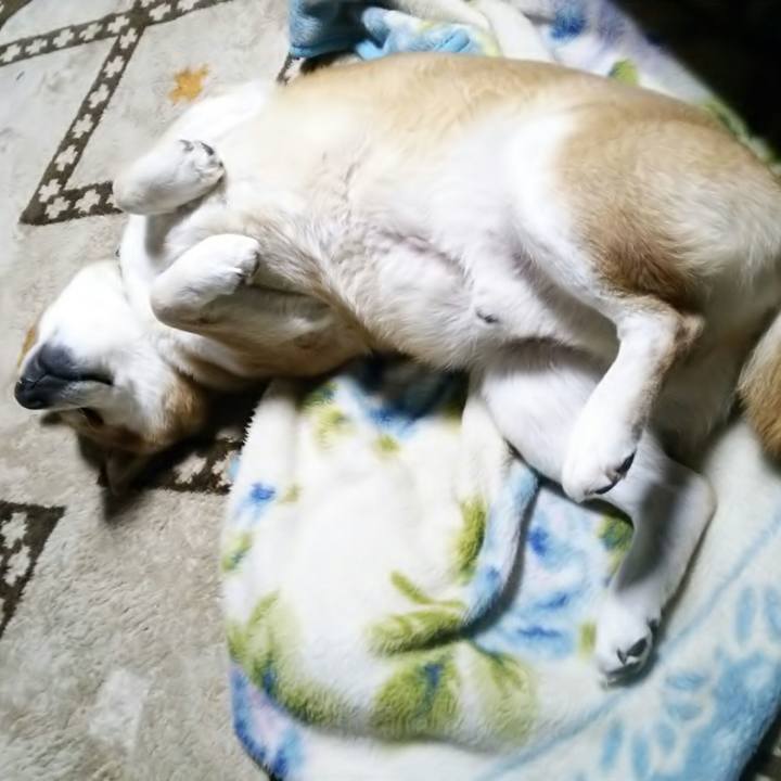 5fc1e5ee ae28 417d a512 234e99085c26 1546233960902