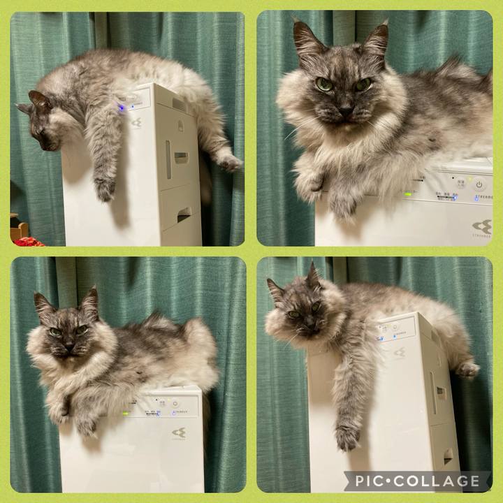 5fc1e75d 8a26 4992 9717 3618f07286d4 1715690639439