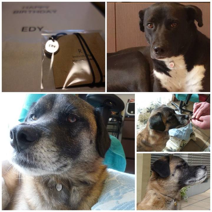 5fc20177 e6ef 4087 ac64 aa0bbabfaae8 1587648653392