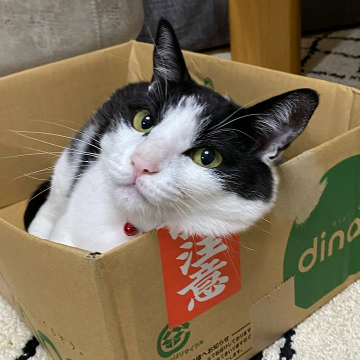 5fc20c07 19bb 4d9b 821f 24b44094af9b 1631451161446