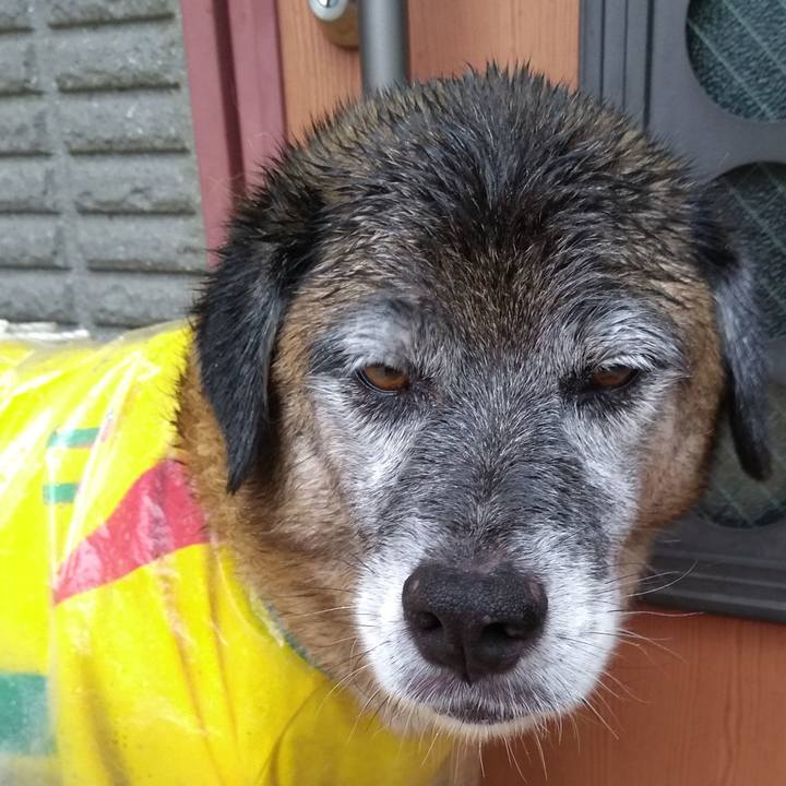 5fc21470 d54e 465e 8e41 0ef21c6bae63 1567121738530