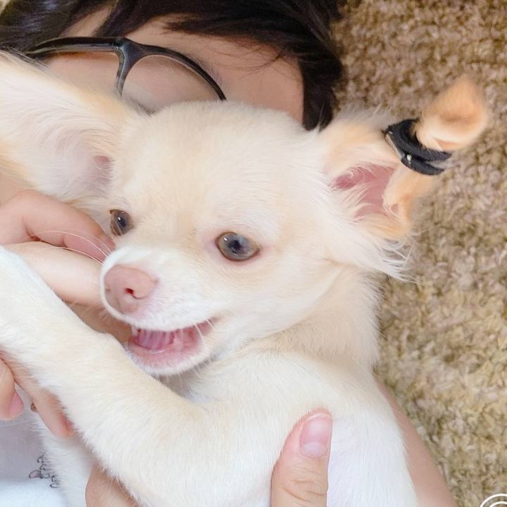 5fc215cc fb46 4f12 83f0 9615f2976d4c 1596858149309