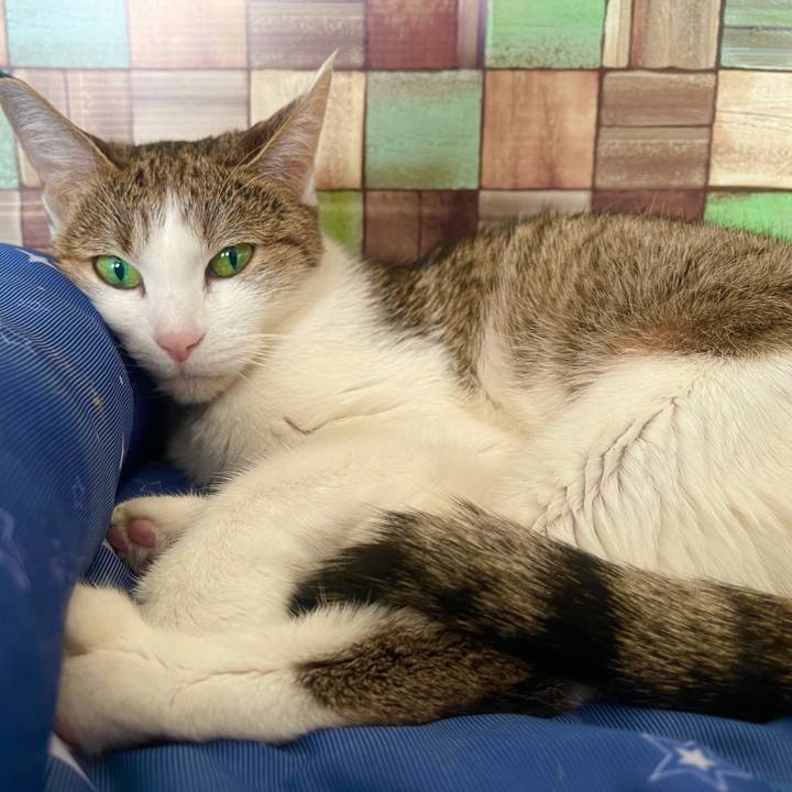 5fc21934 da2b 4ff9 bb7b f25b05f83c00 1639789225233