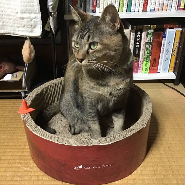 5fc2948a f739 4ec0 8660 d9c9dfdd3478 1645435604477