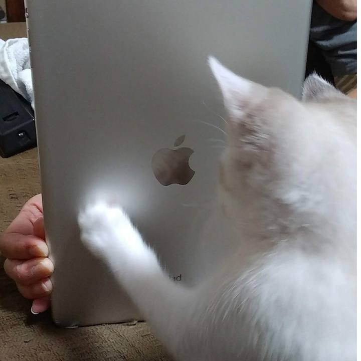 5fc2db94 427d 408a b544 6eec44d13cf1 1605617664767