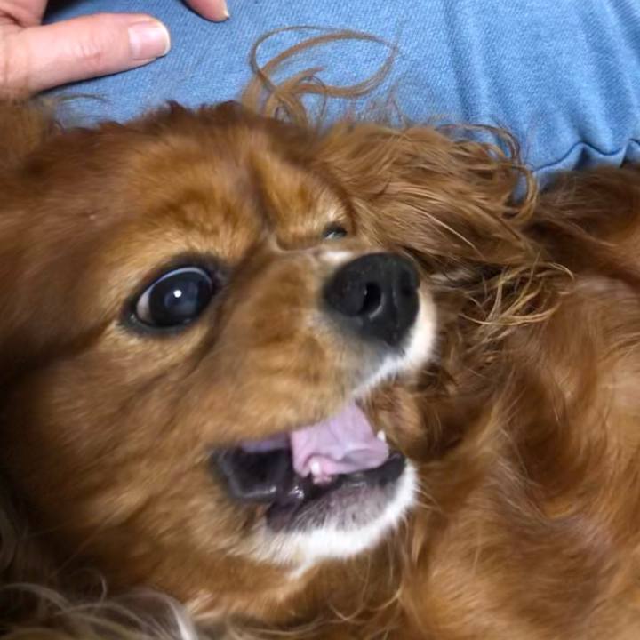 5fc2e0df d0c8 4bf5 95ff 7b5de550349e 1618587246130