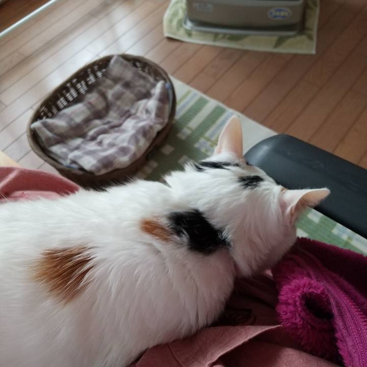 5fc2fbb8 332b 491c 8992 36d2e3e4dc5e 1674277085949