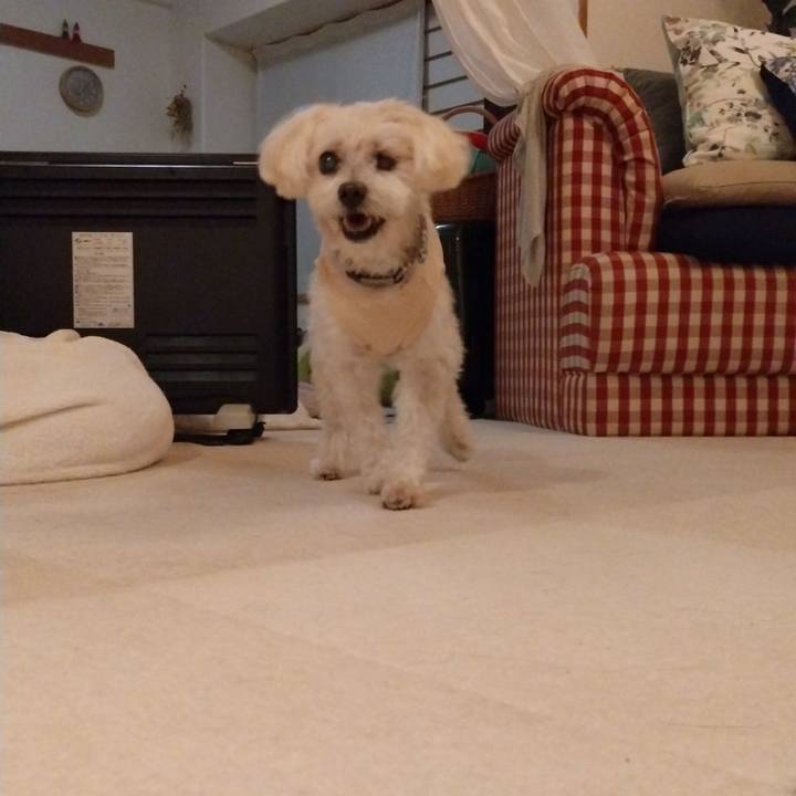 5fc3571a 4d9b 4af7 943e ae59cc9957f1 1731507070751