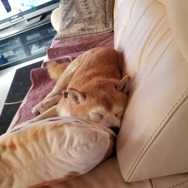 5fc3688c f5aa 4310 8825 1e3b522da37e 1733009886321