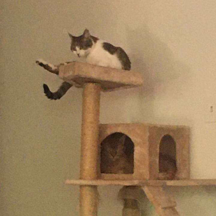 5fc394a9 57d1 4a47 8544 34b394310580 1653435699661