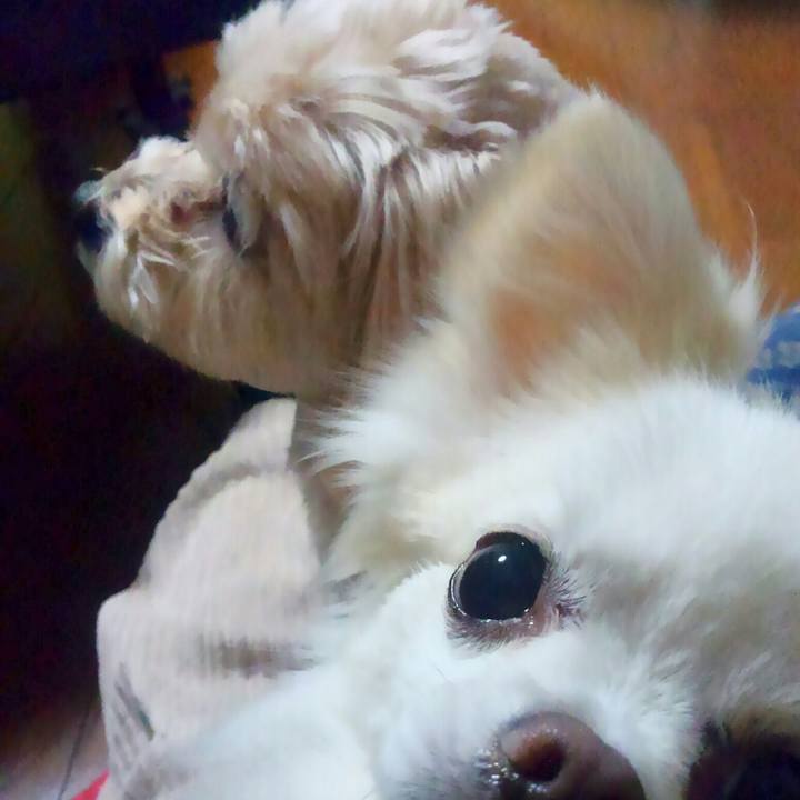 5fc3a6aa 0504 48bf 81c2 5e3c60ed70c0 1512285399782