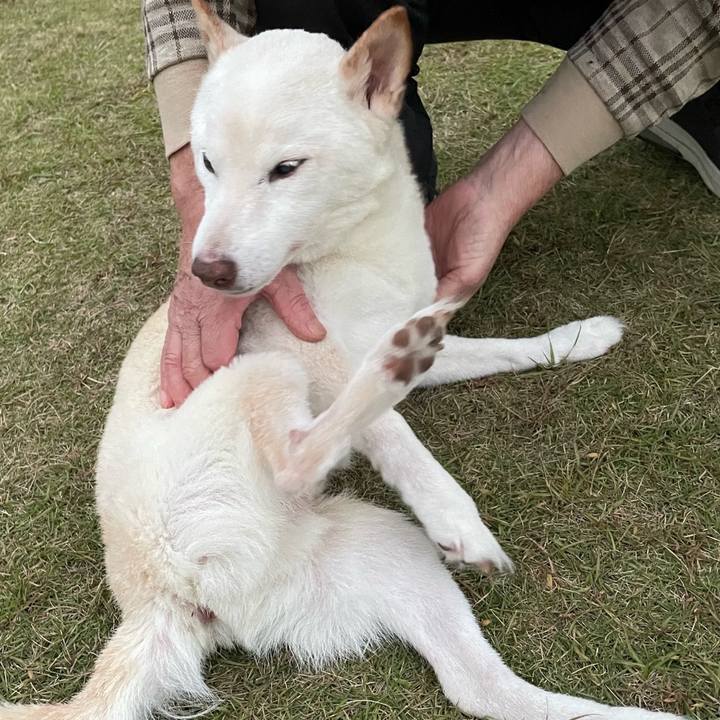 5fc3d369 c212 4aff be09 cd44d773c3e2 1765301017505