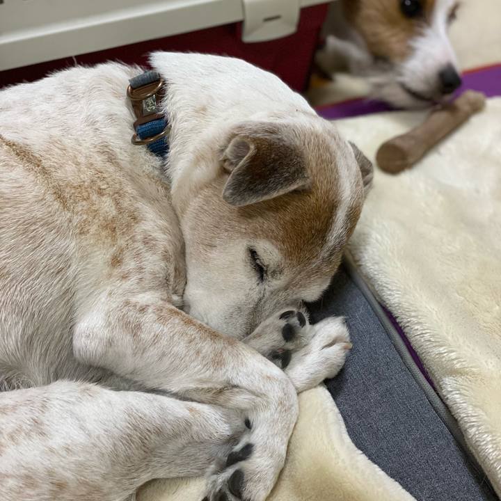 5fc3e33a a734 434f 90a2 ae9ca829ca6a 1643723526073