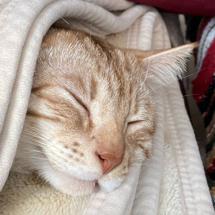 5fc3f1b4 7e50 4705 ab2f 02bb9457d348 1646606826022