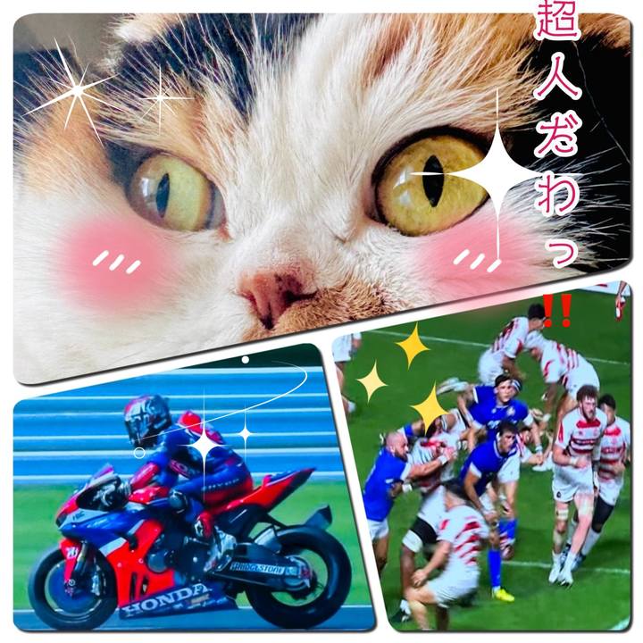 5fc4034e 7a58 4052 b728 864b14d9516b 1721546074347