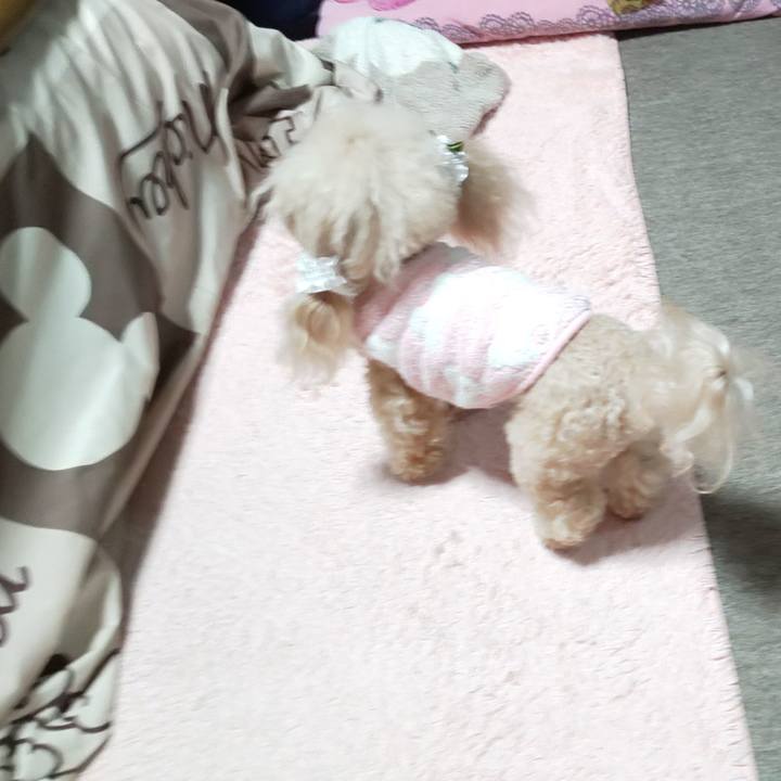 5fc44b07 4a1d 4bd2 afab 6b271c8c64b1 1580988644075