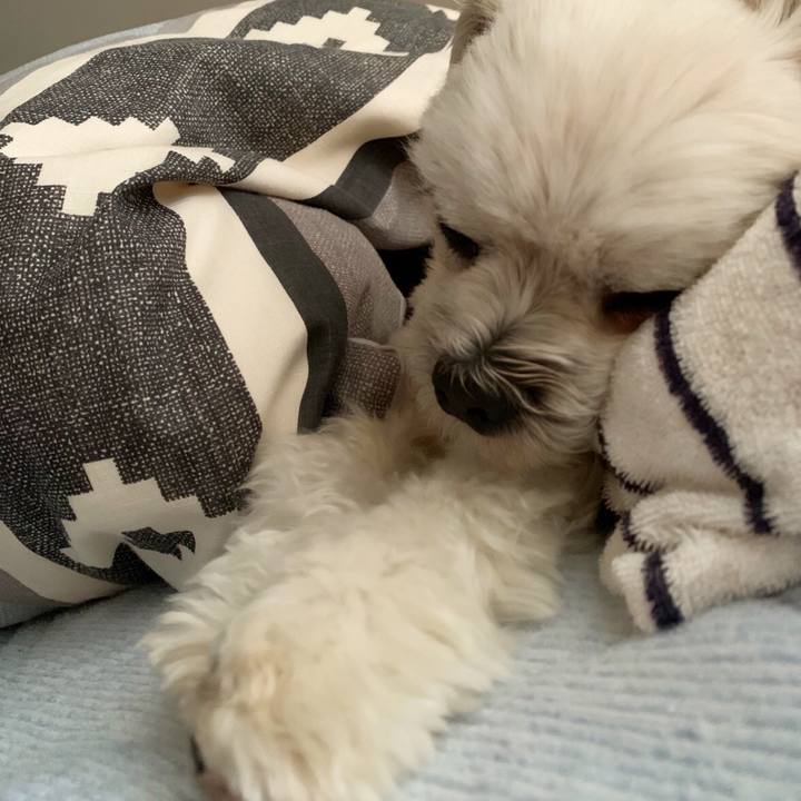 5fc44d30 e49c 4bc3 83f4 ac1d1cff87ff 1557227580359