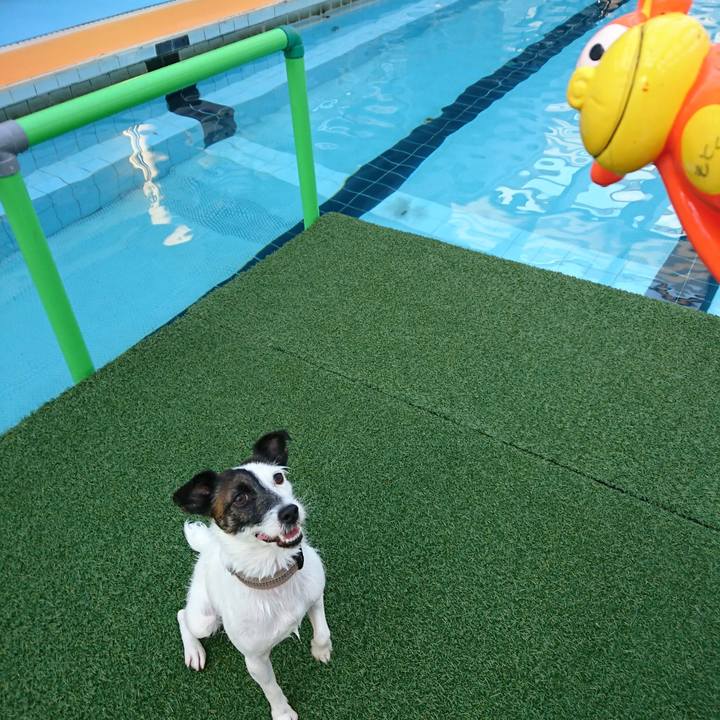 5fc474a4 d129 4ba0 8423 8a230a24b255 1509864044782